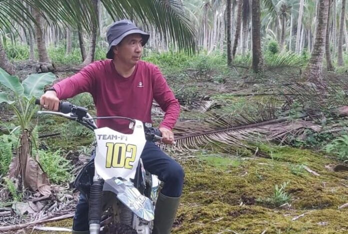 Petani sawit (ilustrasi)